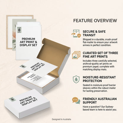 DIY Paint By Numbers Kit(6 Canvas)