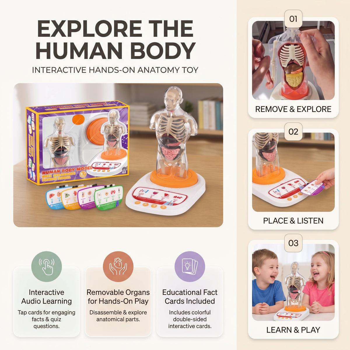 Interactive Human Anatomy Model for Kids with Removable Organs & Sound