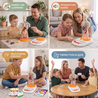 Interactive Human Anatomy Model for Kids with Removable Organs & Sound